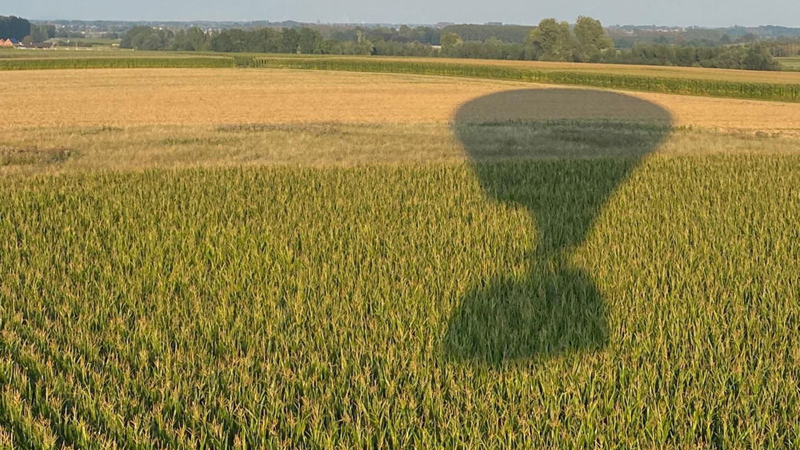 Ballonvlucht boven Hasselt