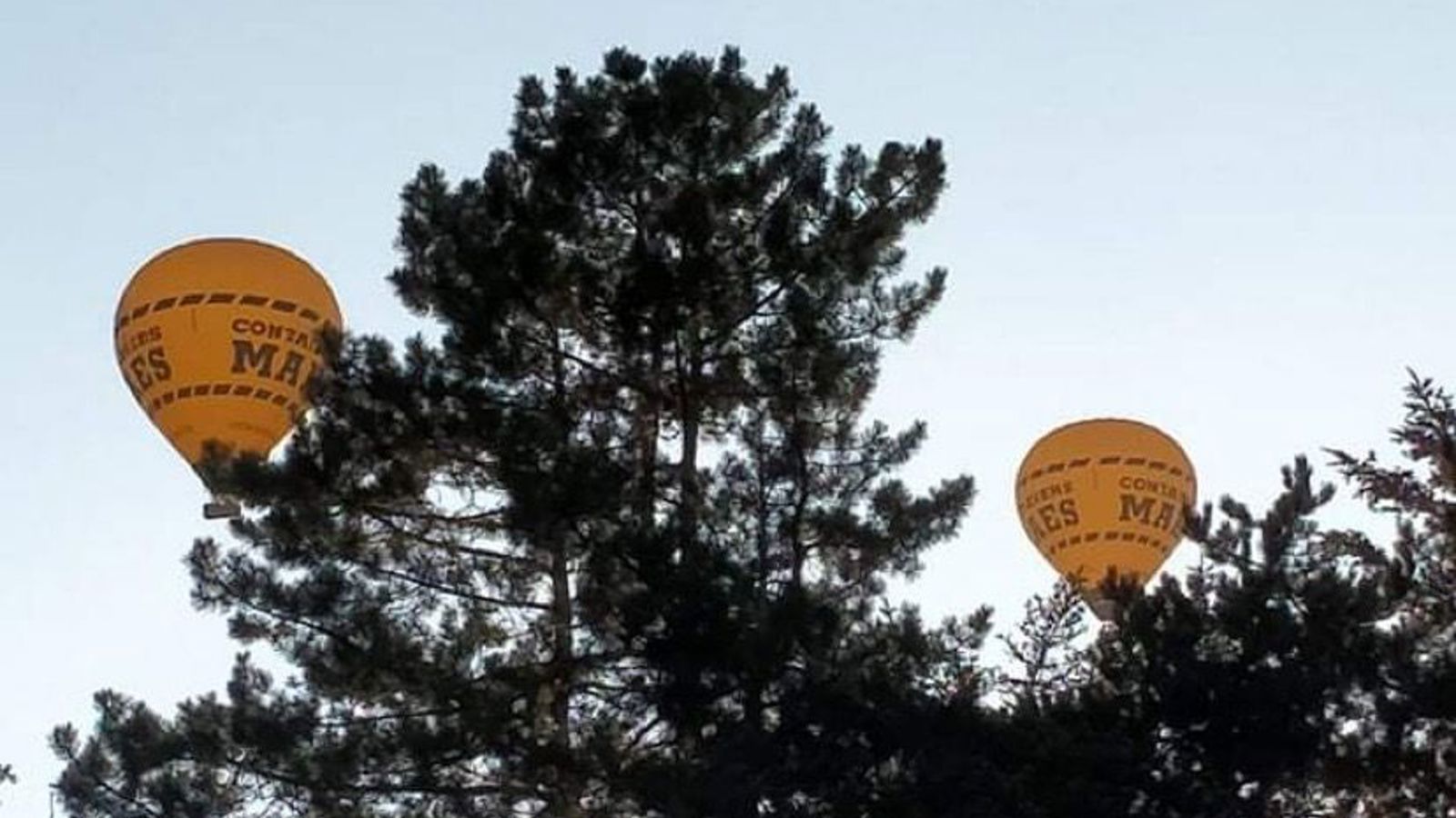Ballonvlucht boven Westerlo