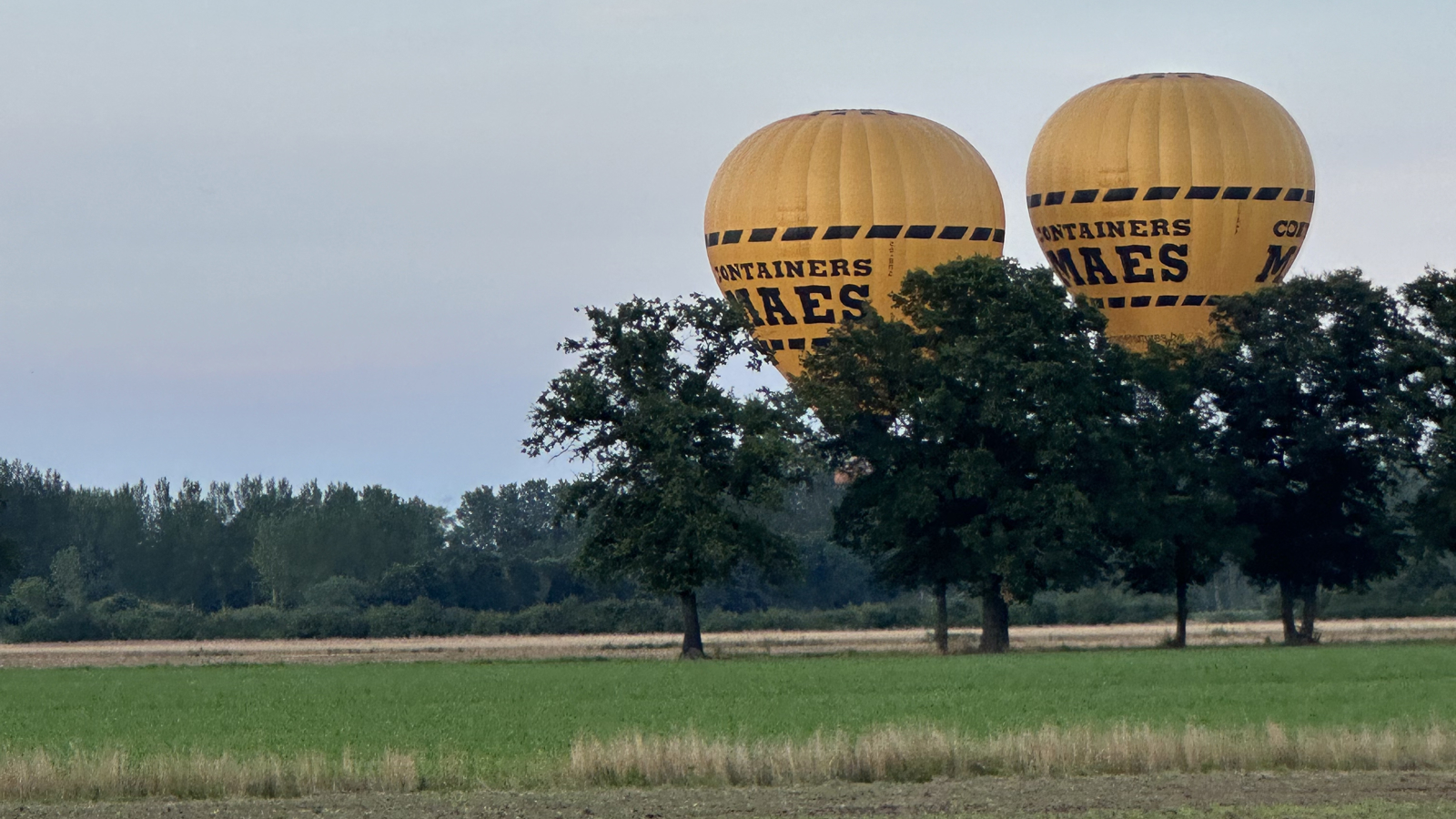 Cadeaubon ballonvaart Leuven