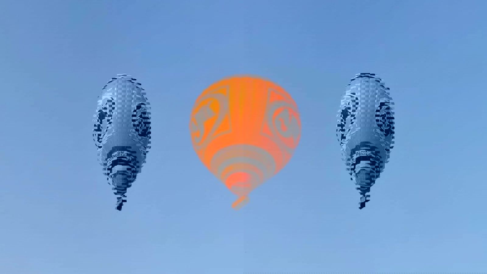 Cadeaubon ballonvaart Limburg