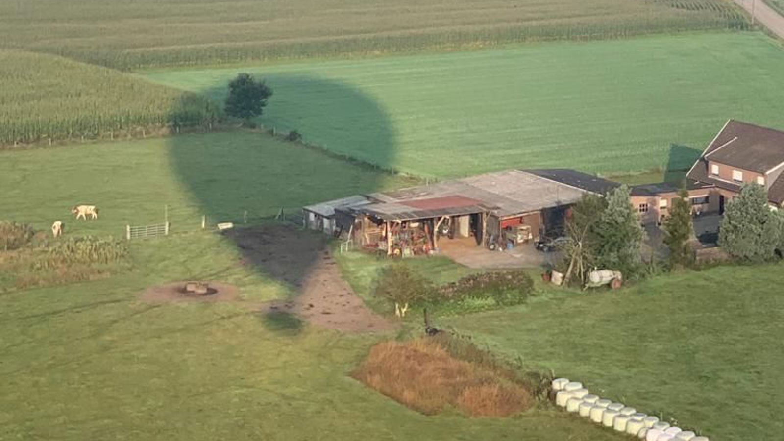 Ballonvaarten Tielt-Winge