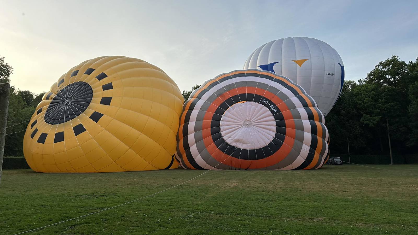 Ballonvlucht regio Hoogstraten